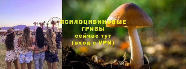 дмт Иннополис