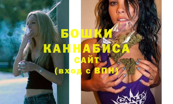 хмурый Инсар