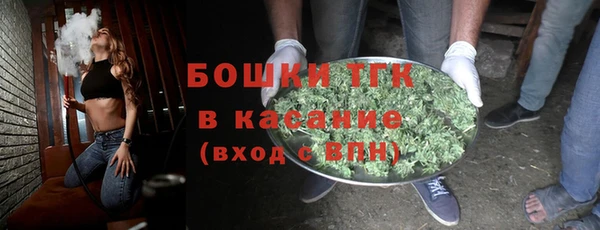 хмурый Инсар