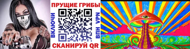 Псилоцибиновые грибы Psilocybine cubensis  Купить  Комсомольск 